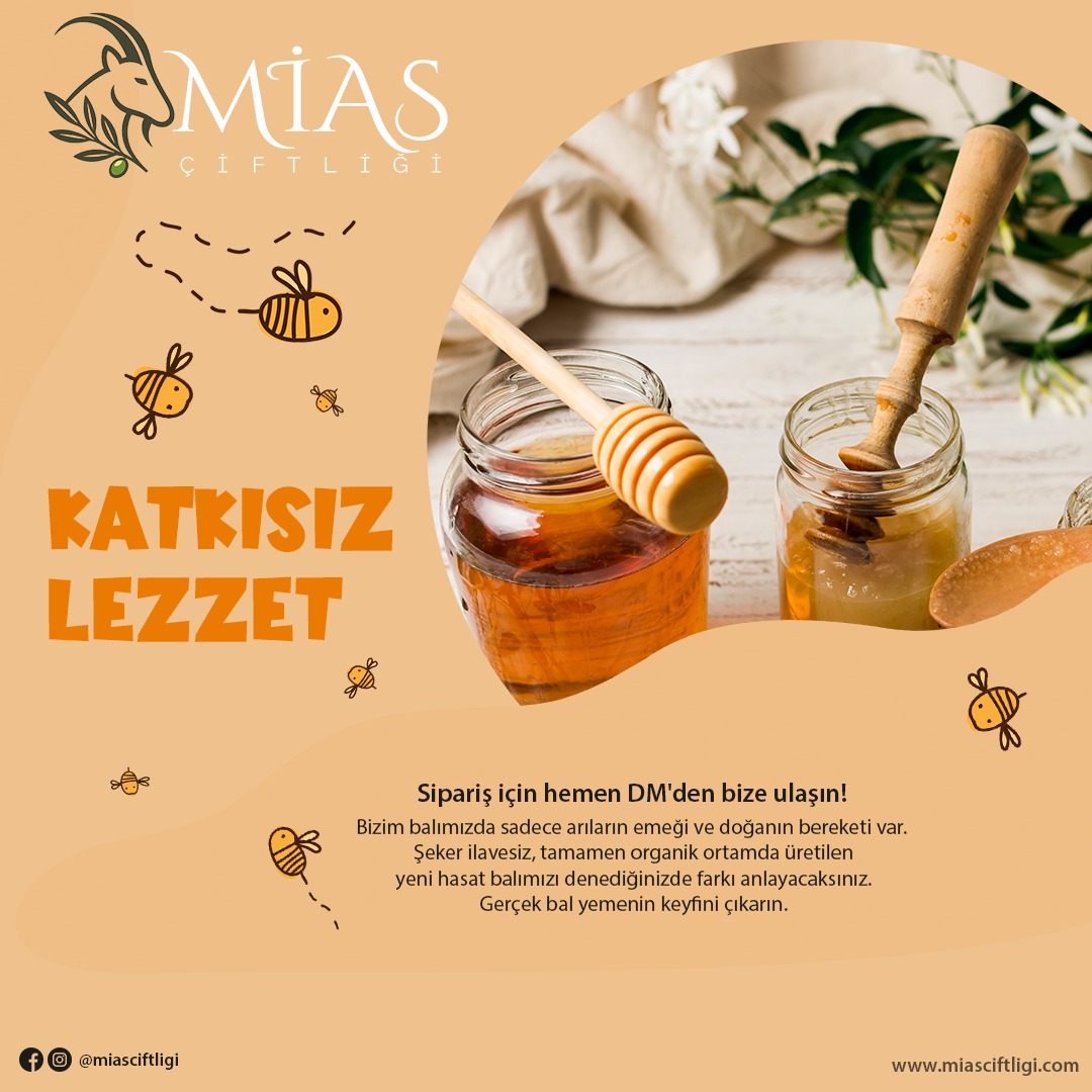 Instagram Gönderisi