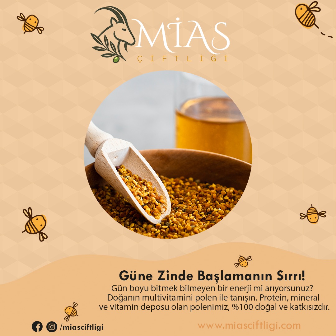 Instagram Gönderisi
